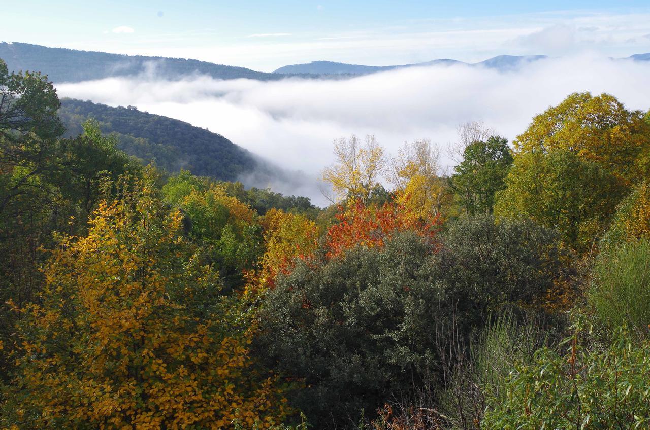 Apartamentos Sierra De Francia Monsagro Ngoại thất bức ảnh